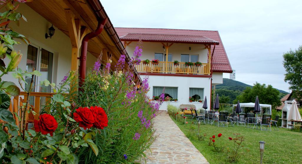 Pensiunea Poezii Alese Valea Draganului Exterior photo