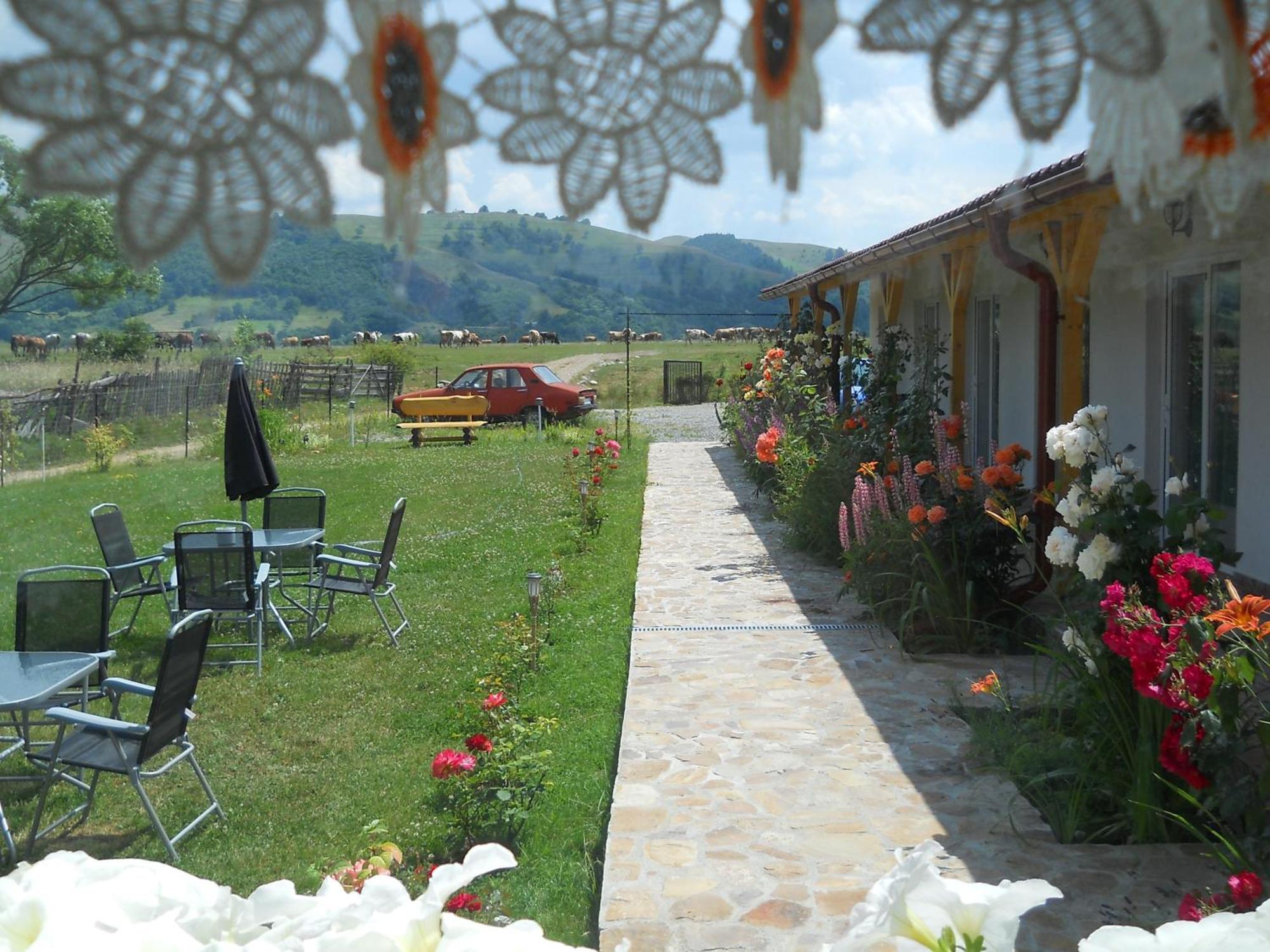Pensiunea Poezii Alese Valea Draganului Exterior photo